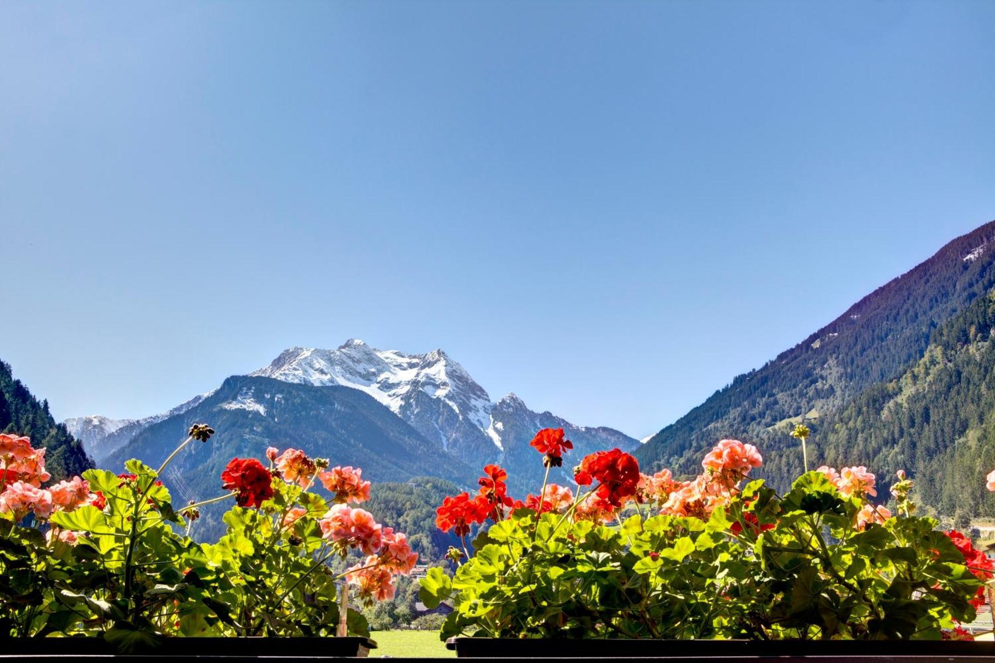 Gaestehaus Oblasser Mayrhofen Exterior foto